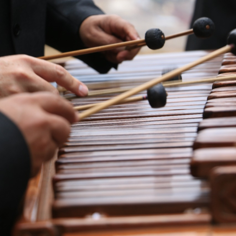 Concert de marimba